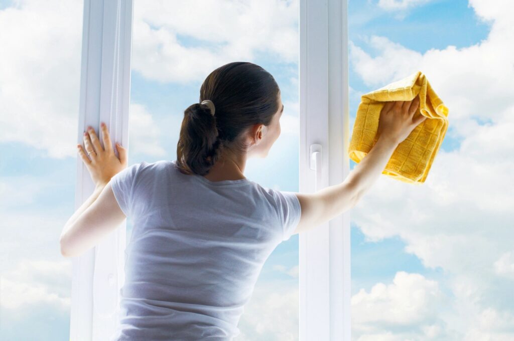 cleaning service spring hill fl 